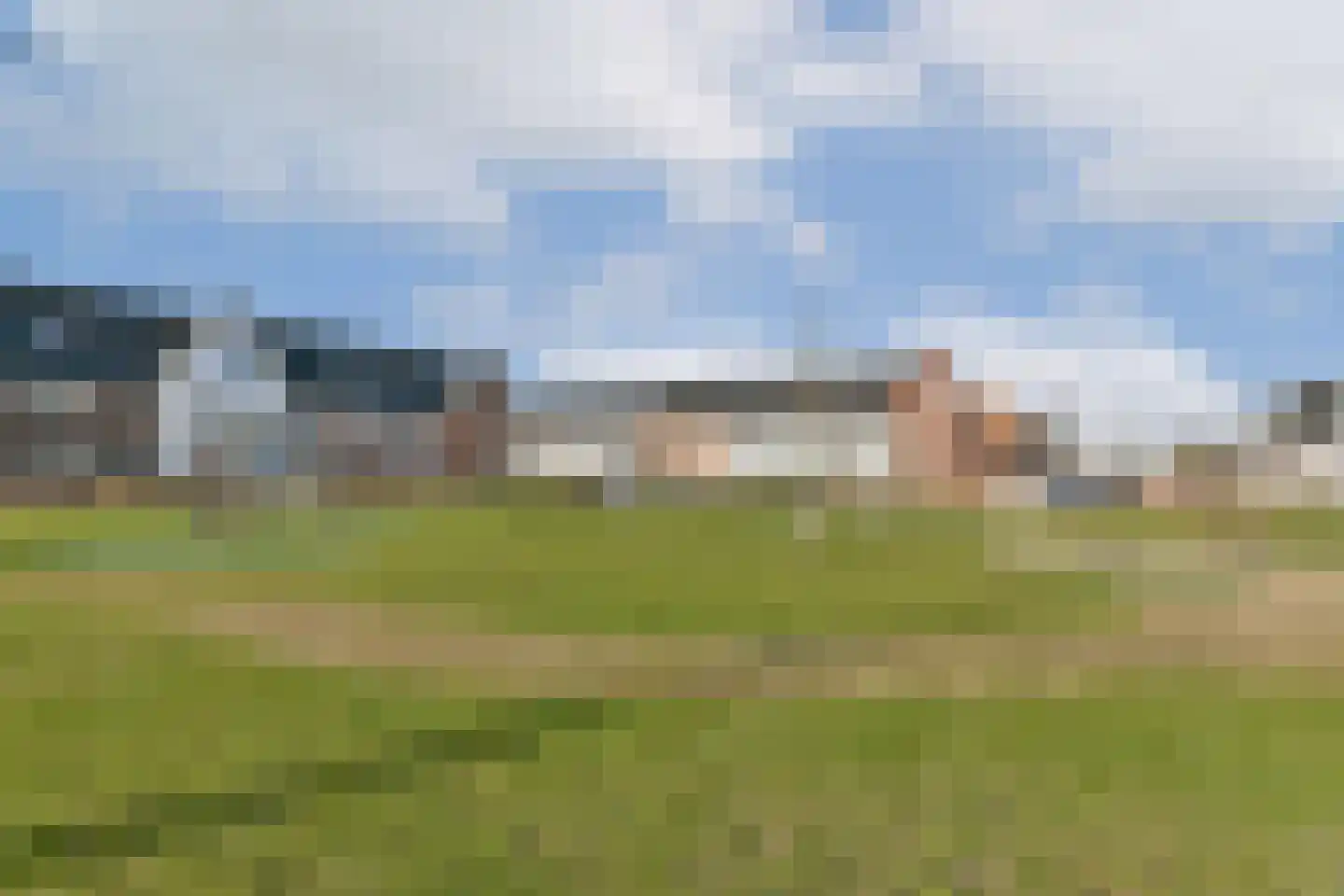Knobbelzwaan 131 Uithoorn thumbnail 21