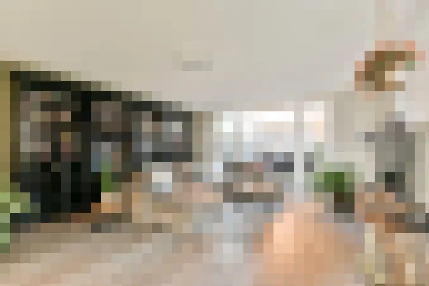 Knobbelzwaan 131 Uithoorn thumbnail 6