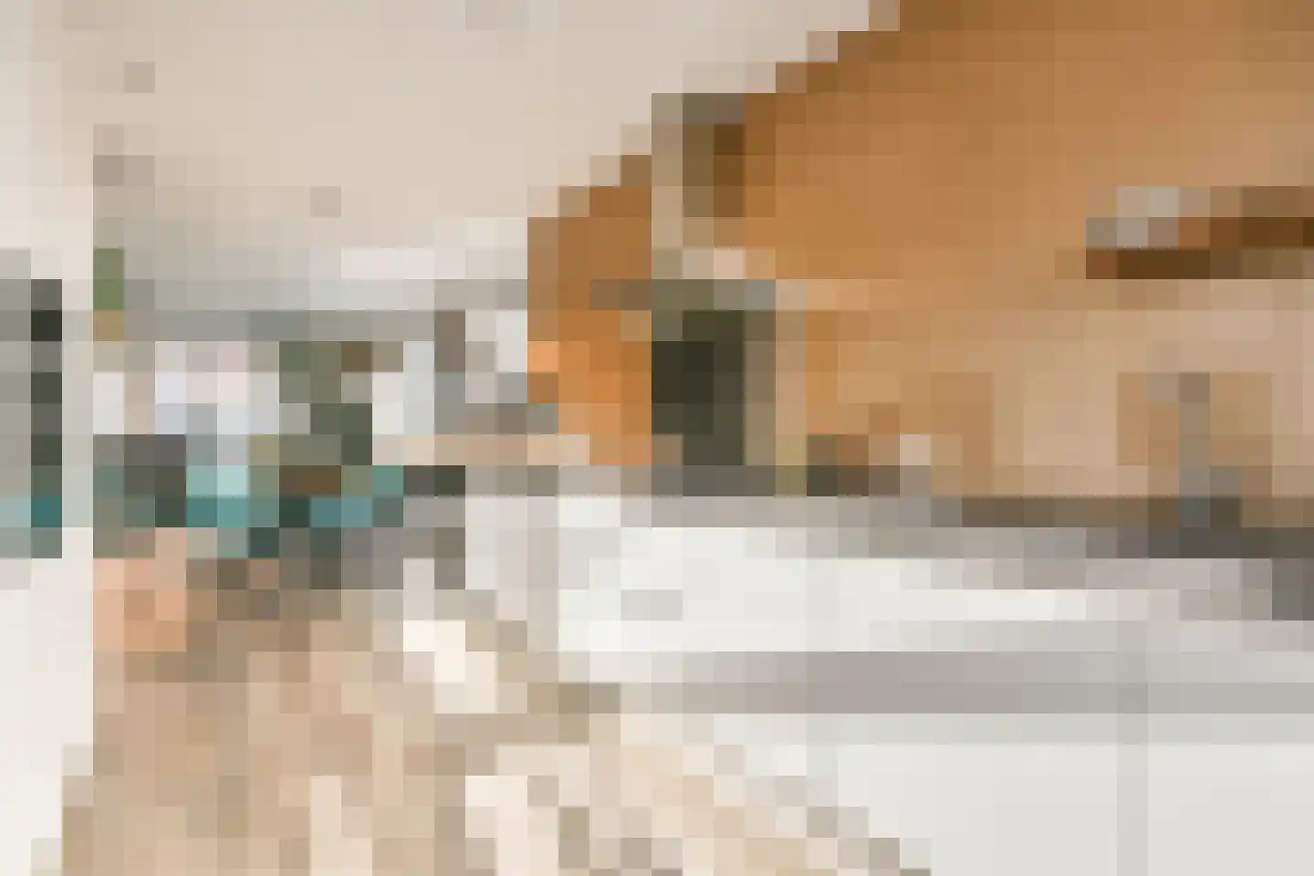 Knobbelzwaan 131 Uithoorn thumbnail 9