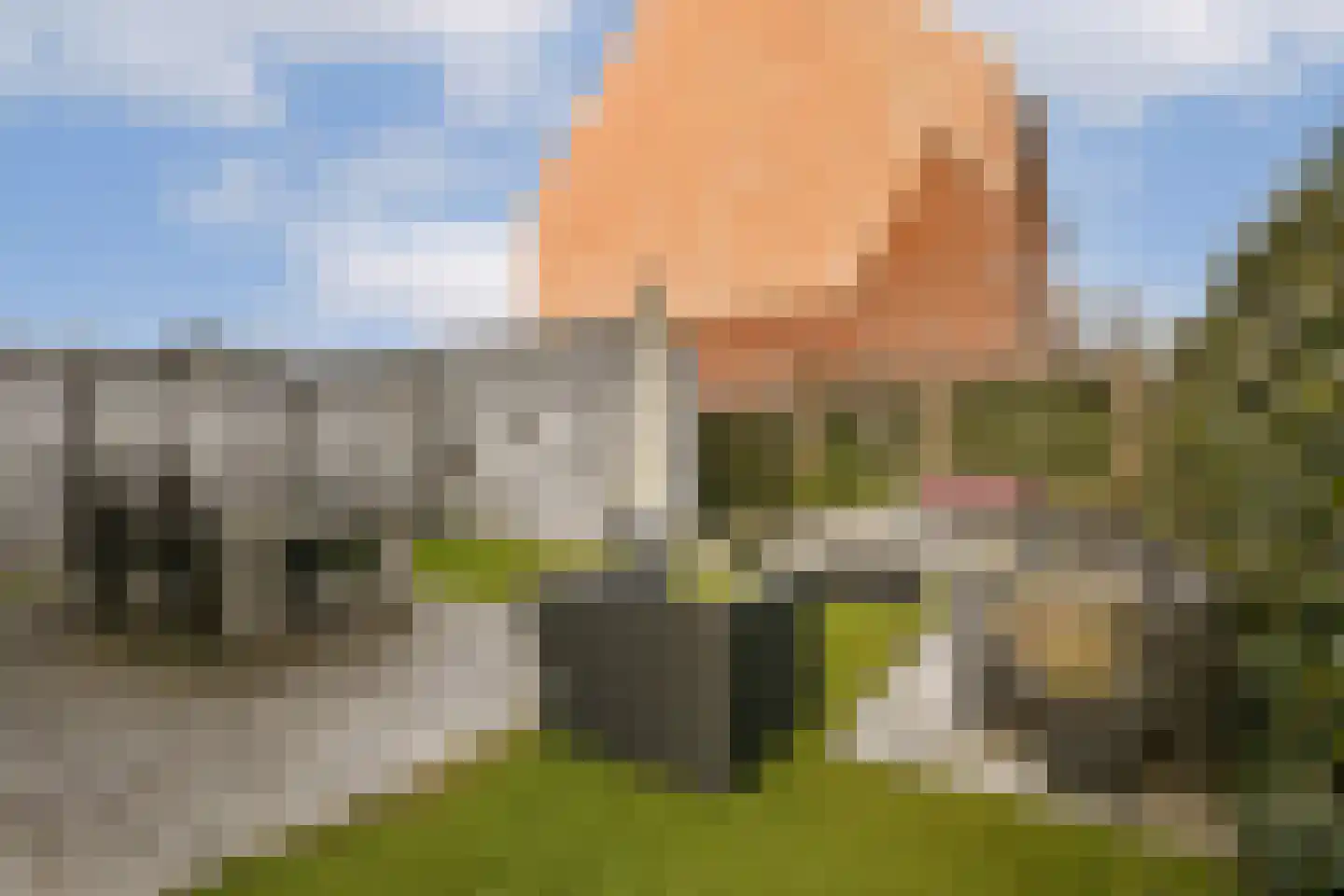 Knobbelzwaan 131 Uithoorn thumbnail 9