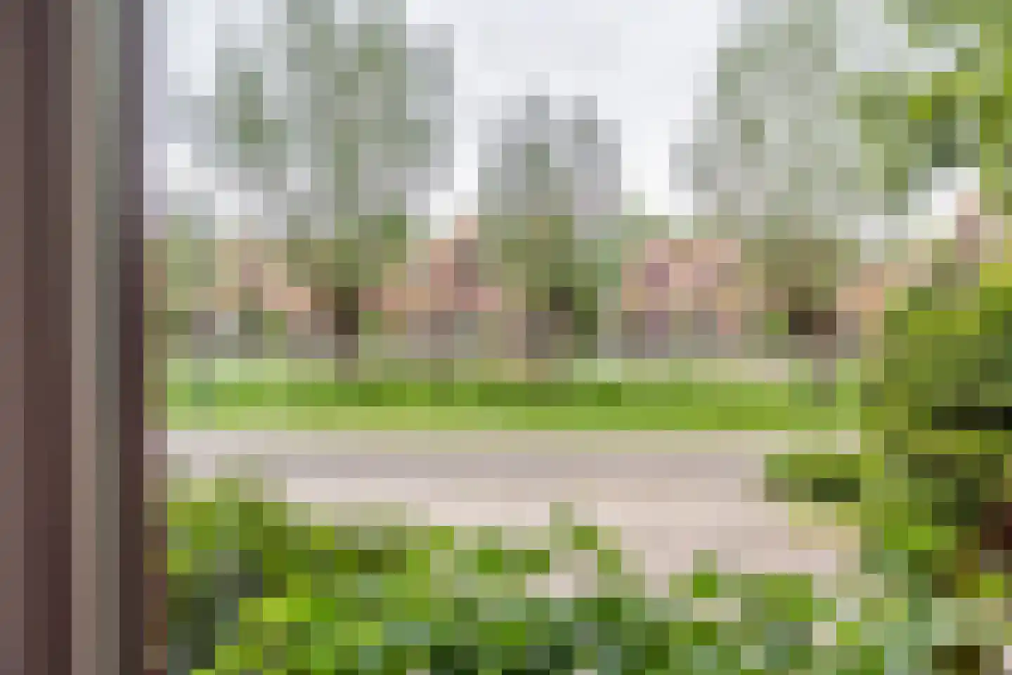 Knobbelzwaan 2 Hardinxveld-Giessendam thumbnail 13