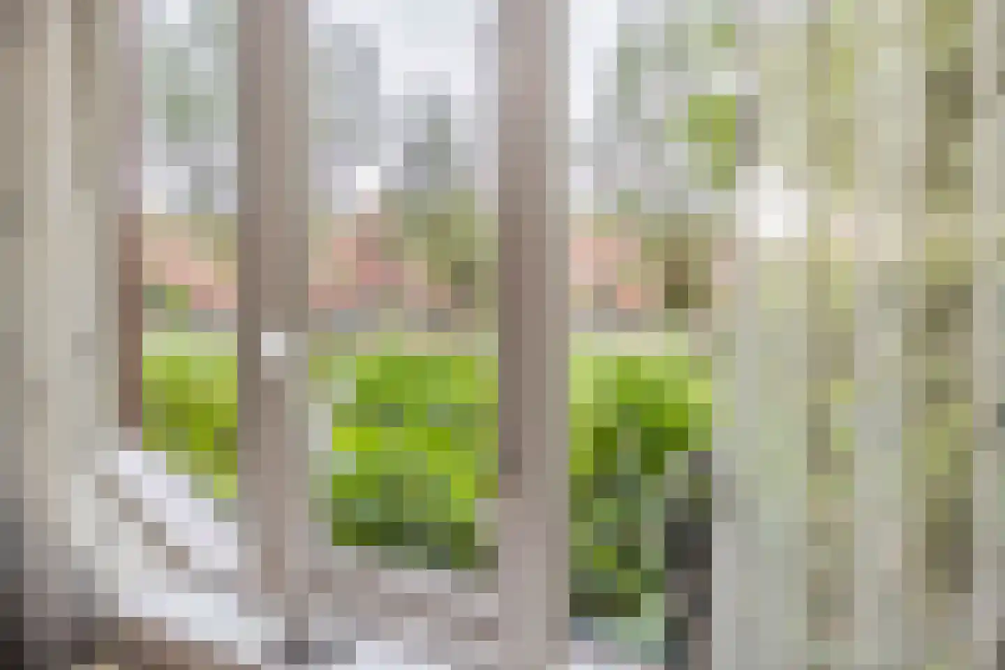 Knobbelzwaan 2 Hardinxveld-Giessendam thumbnail 14