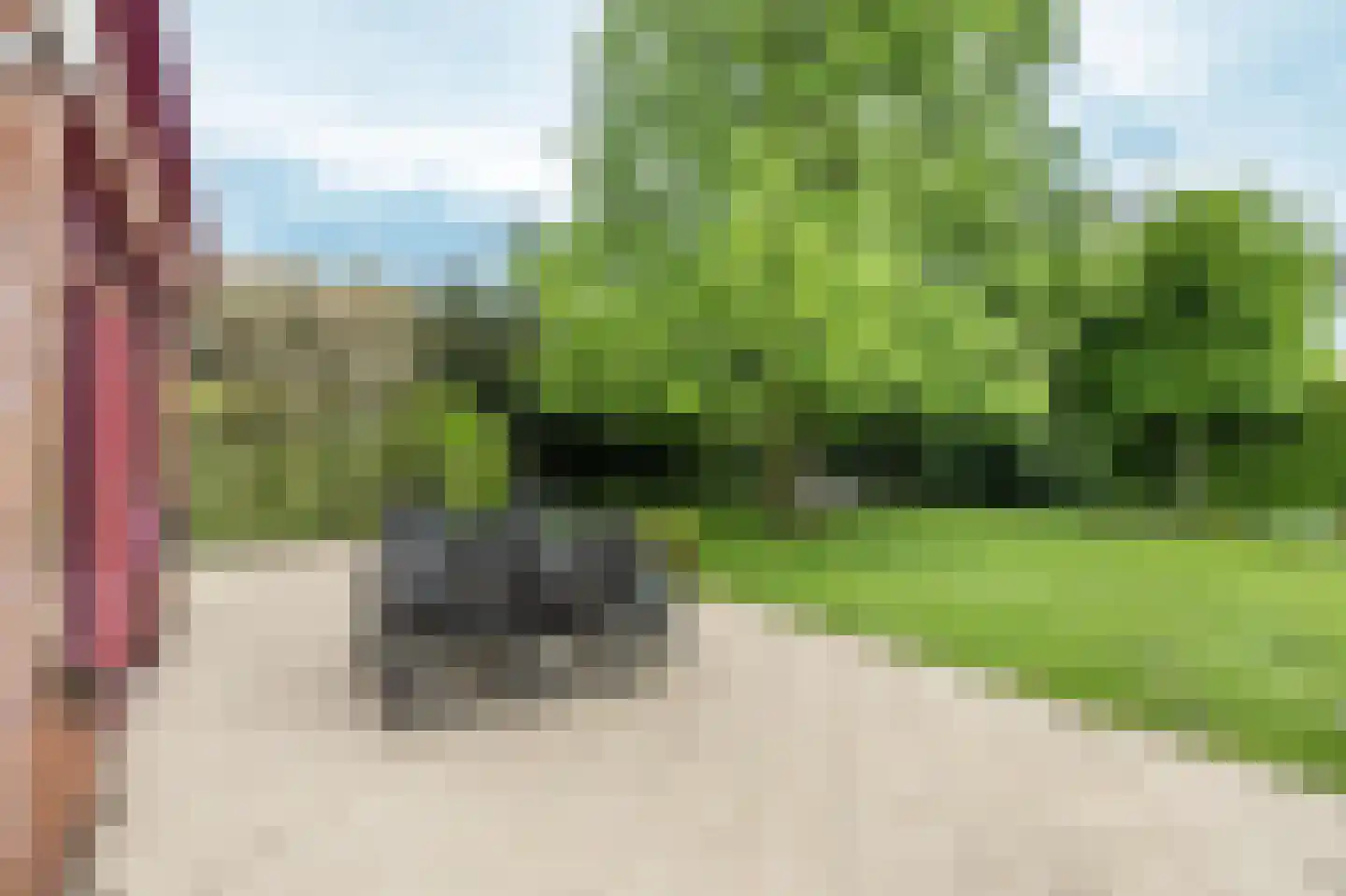 Knobbelzwaan 2 Hardinxveld-Giessendam thumbnail 17
