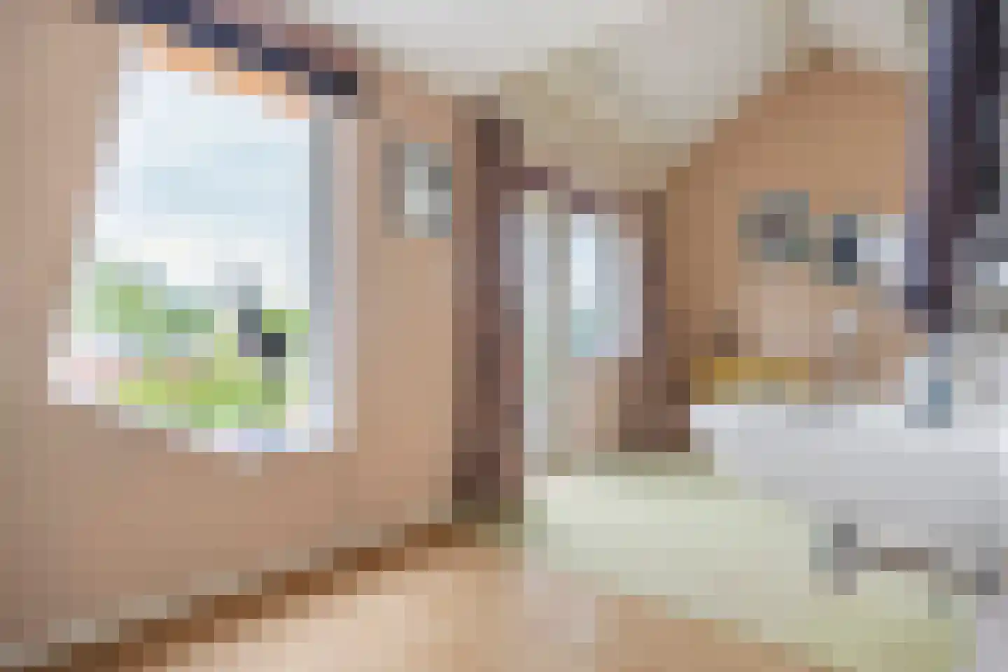 Knobbelzwaan 2 Hardinxveld-Giessendam thumbnail 28