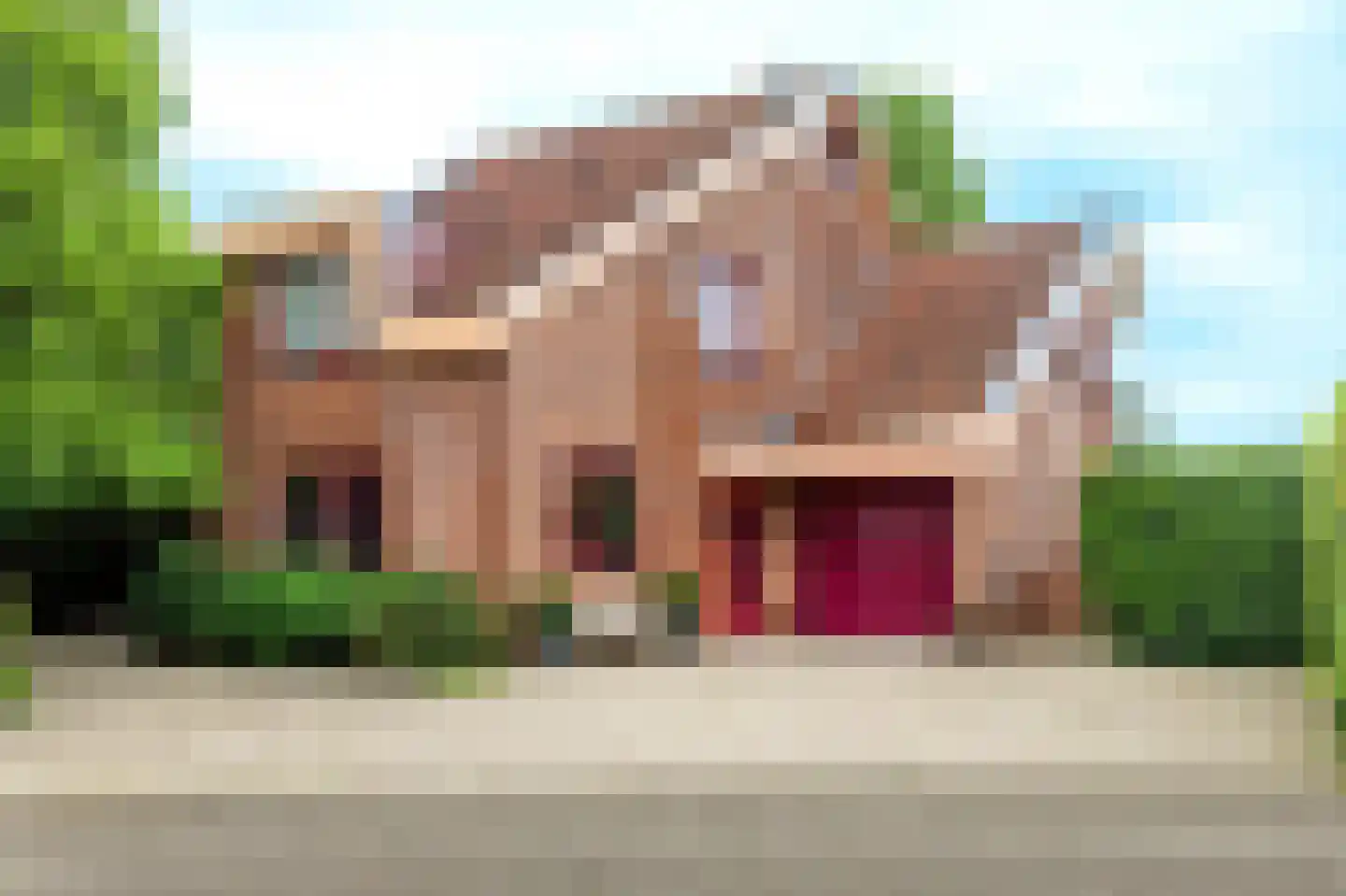 Knobbelzwaan 2 Hardinxveld-Giessendam thumbnail 38