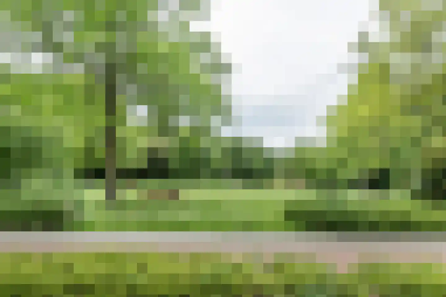 Knobbelzwaan 2 Hardinxveld-Giessendam thumbnail 41