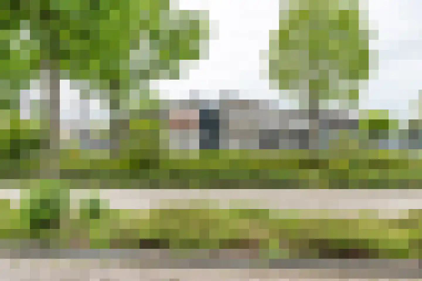 Knobbelzwaan 2 Hardinxveld-Giessendam thumbnail 42