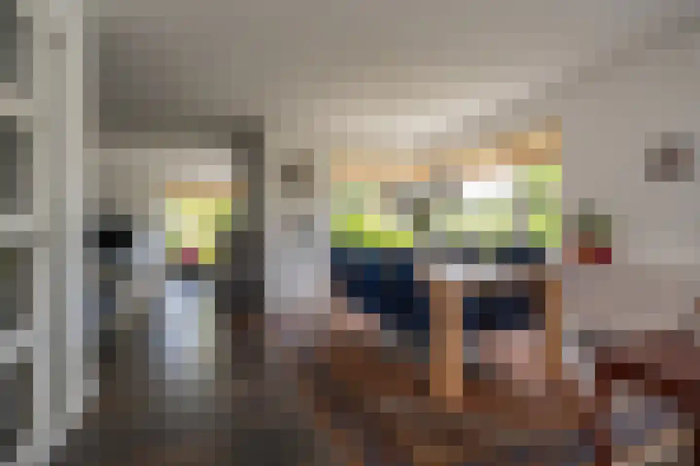 Knobbelzwaan 2 Wildervank thumbnail 11