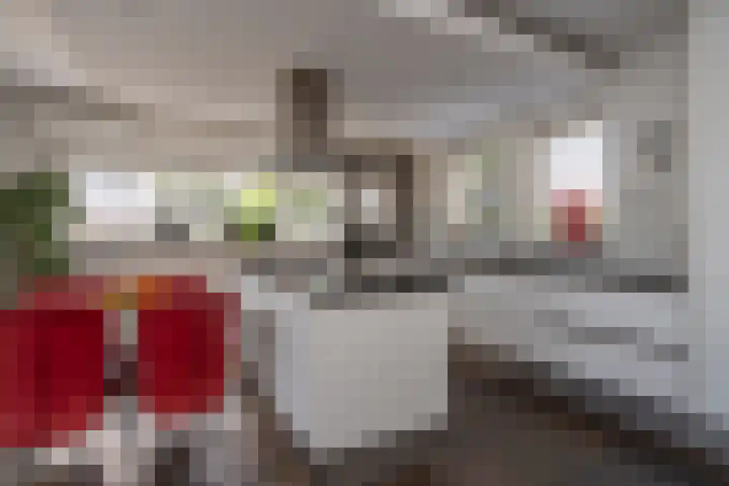 Knobbelzwaan 2 Wildervank thumbnail 12