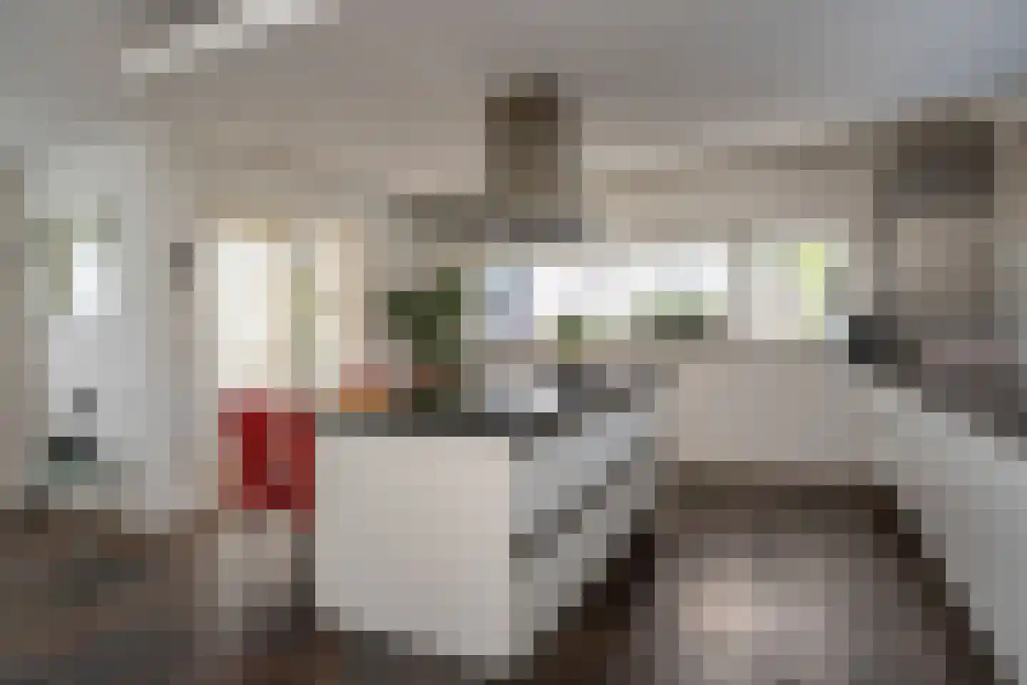 Knobbelzwaan 2 Wildervank thumbnail 13