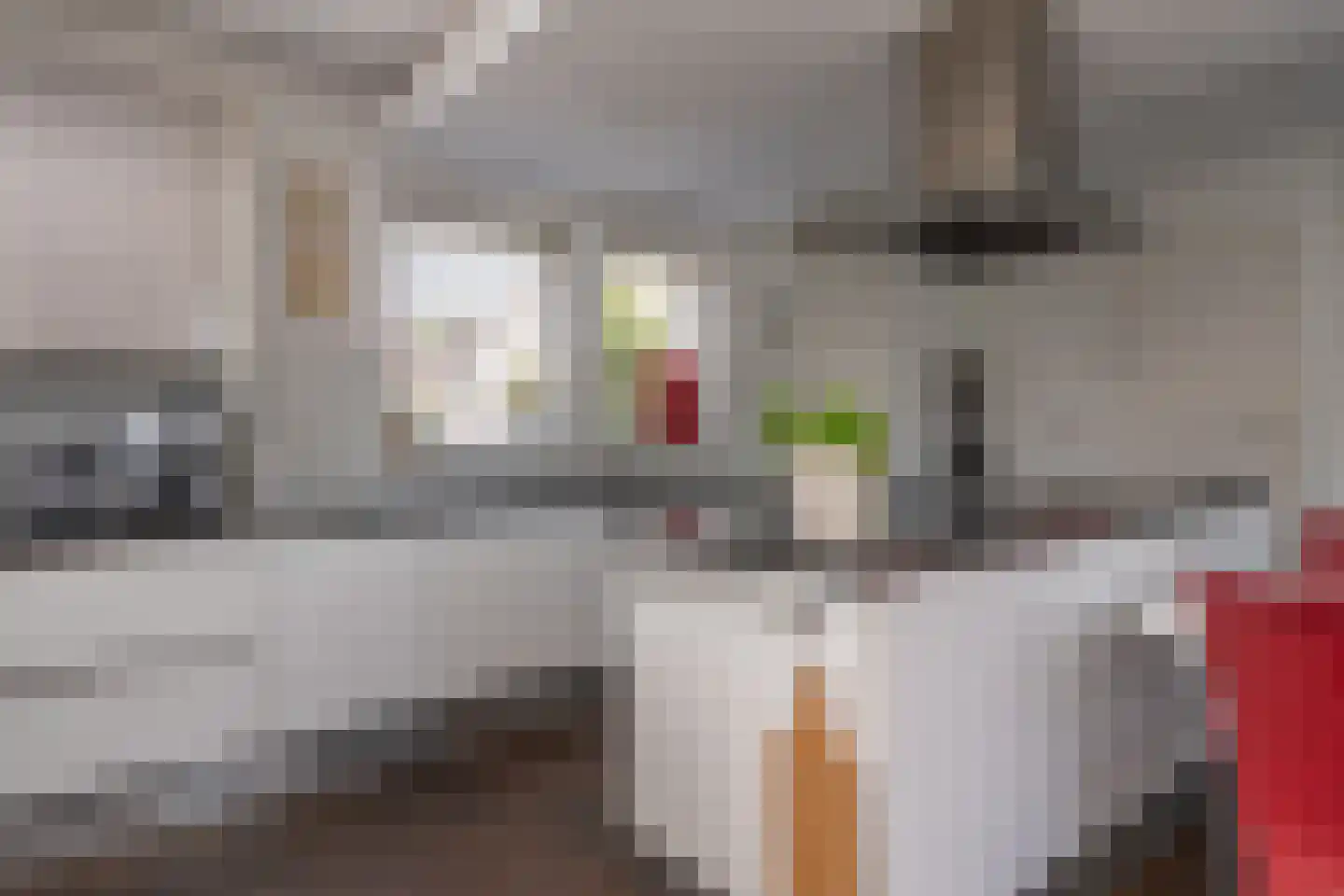 Knobbelzwaan 2 Wildervank thumbnail 14