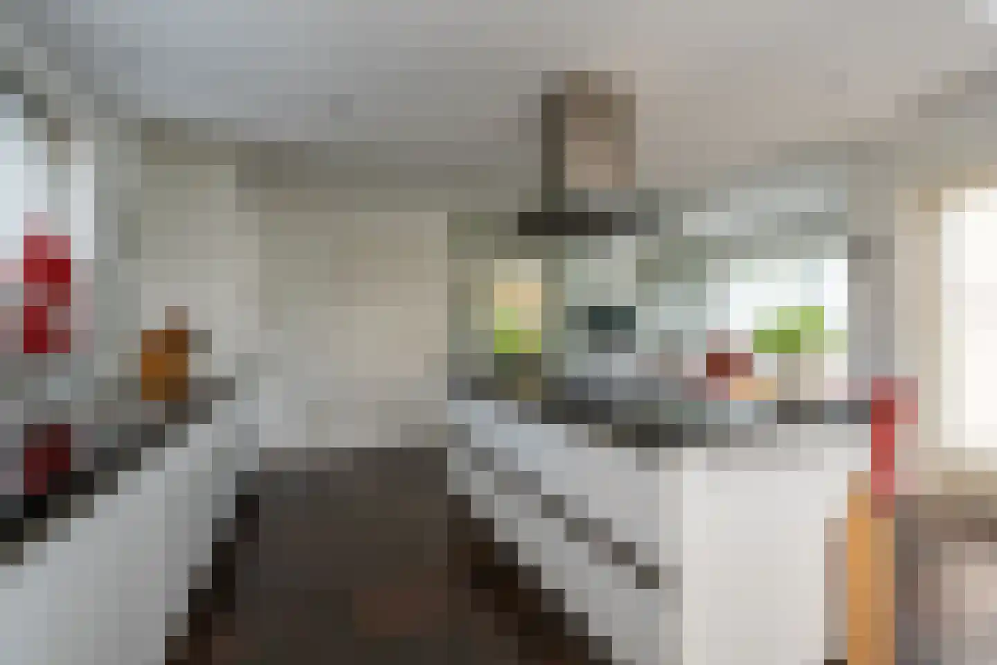 Knobbelzwaan 2 Wildervank thumbnail 15