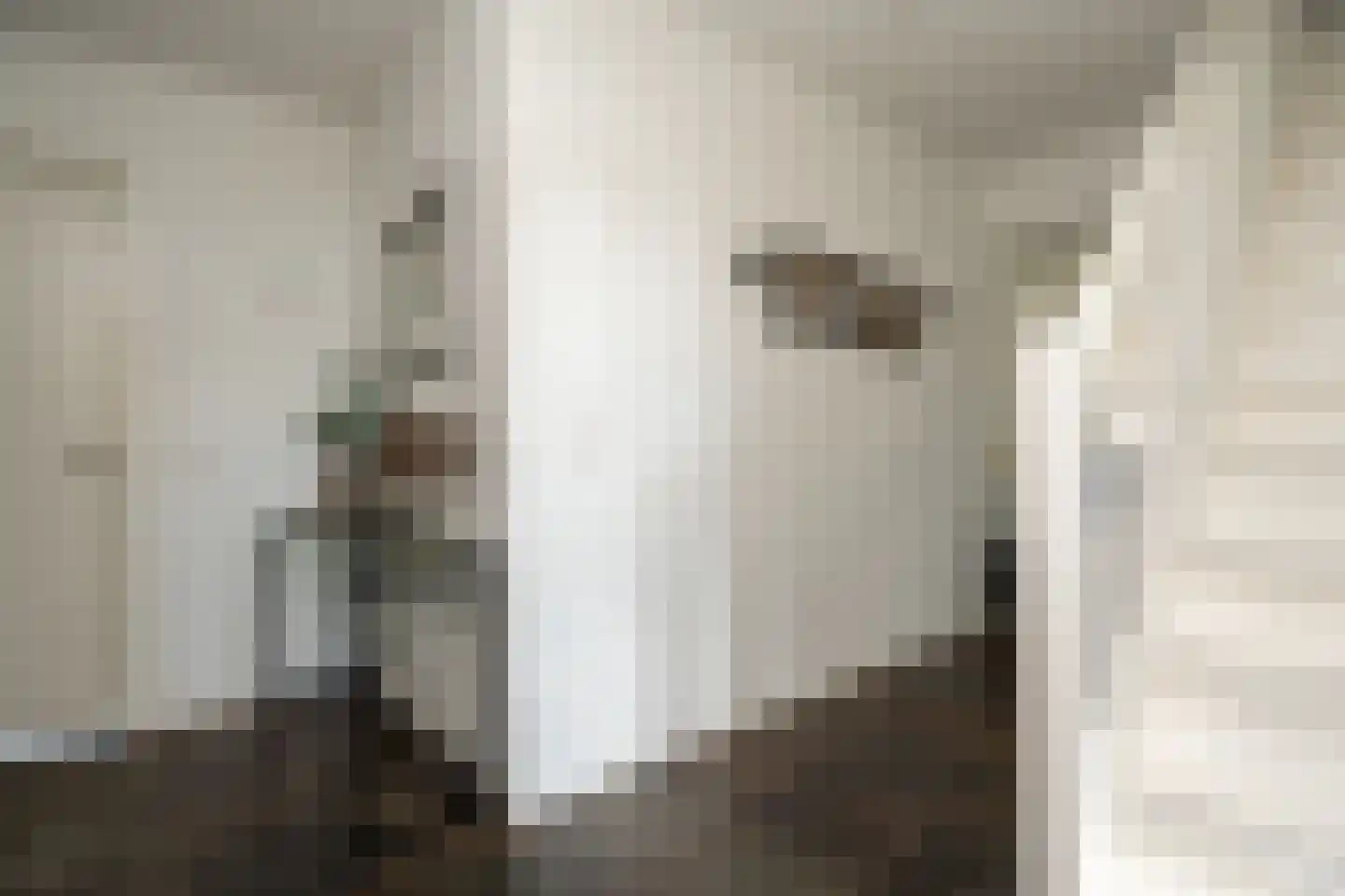 Knobbelzwaan 2 Wildervank thumbnail 18