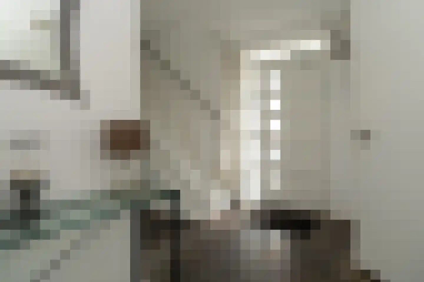 Knobbelzwaan 2 Wildervank thumbnail 21