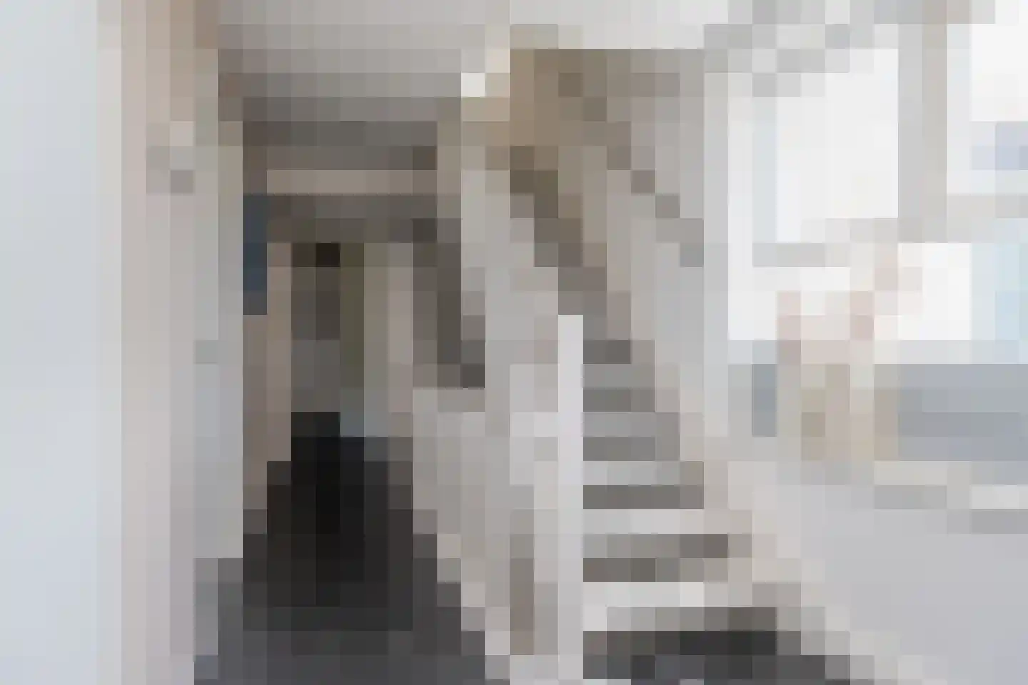 Knobbelzwaan 2 Wildervank thumbnail 23