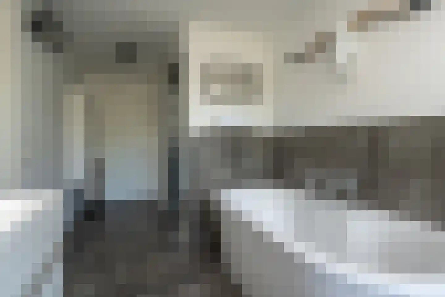 Knobbelzwaan 2 Wildervank thumbnail 28