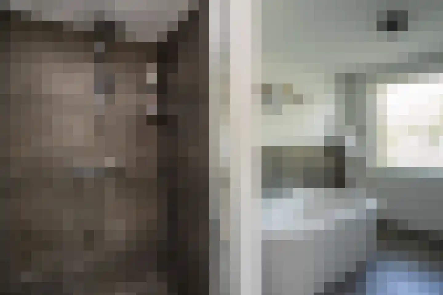 Knobbelzwaan 2 Wildervank thumbnail 30