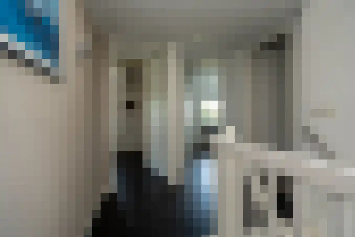 Knobbelzwaan 2 Wildervank thumbnail 32