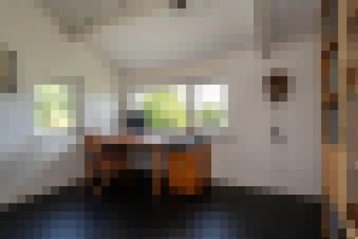 Knobbelzwaan 2 Wildervank thumbnail 33