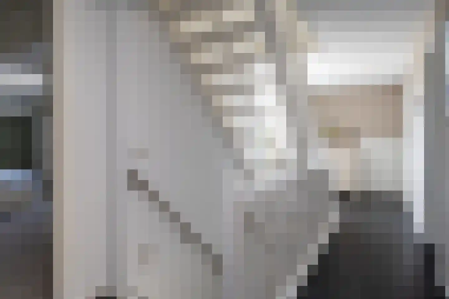 Knobbelzwaan 2 Wildervank thumbnail 37