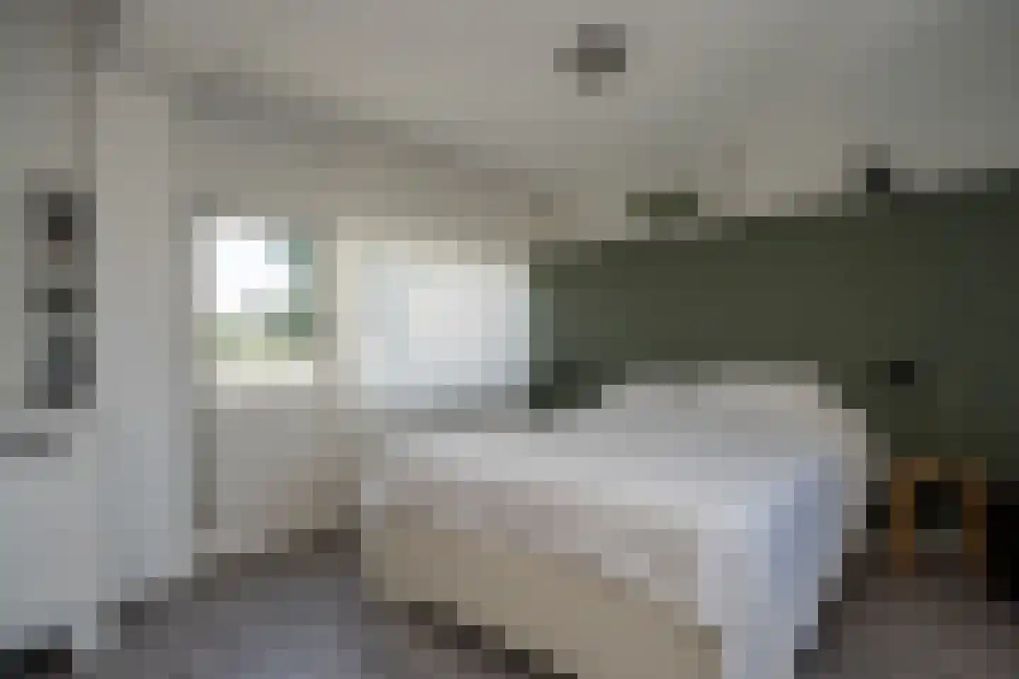 Knobbelzwaan 2 Wildervank thumbnail 39