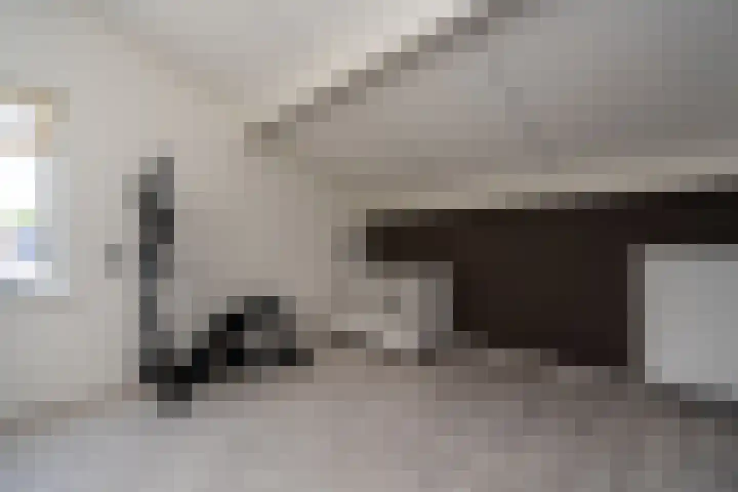 Knobbelzwaan 2 Wildervank thumbnail 43