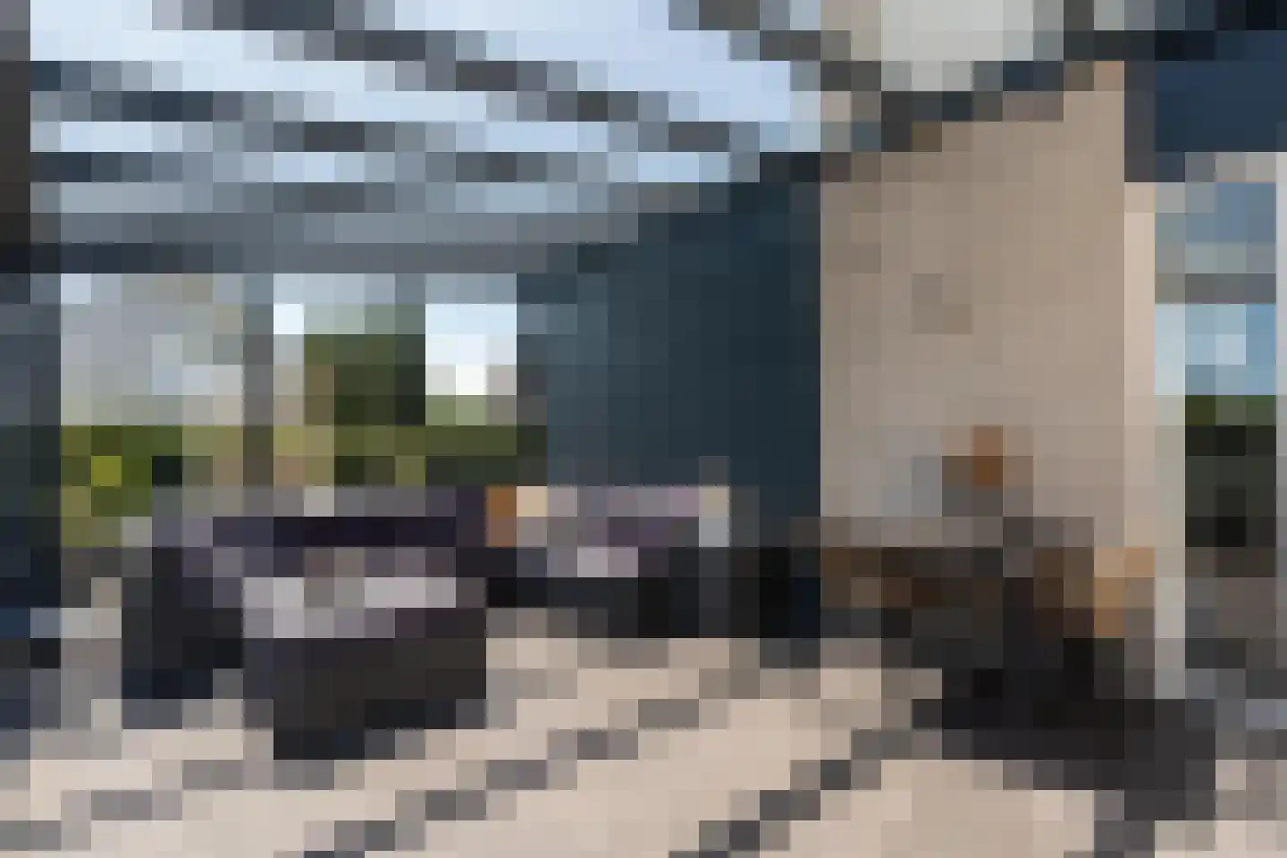 Knobbelzwaan 2 Wildervank thumbnail 47