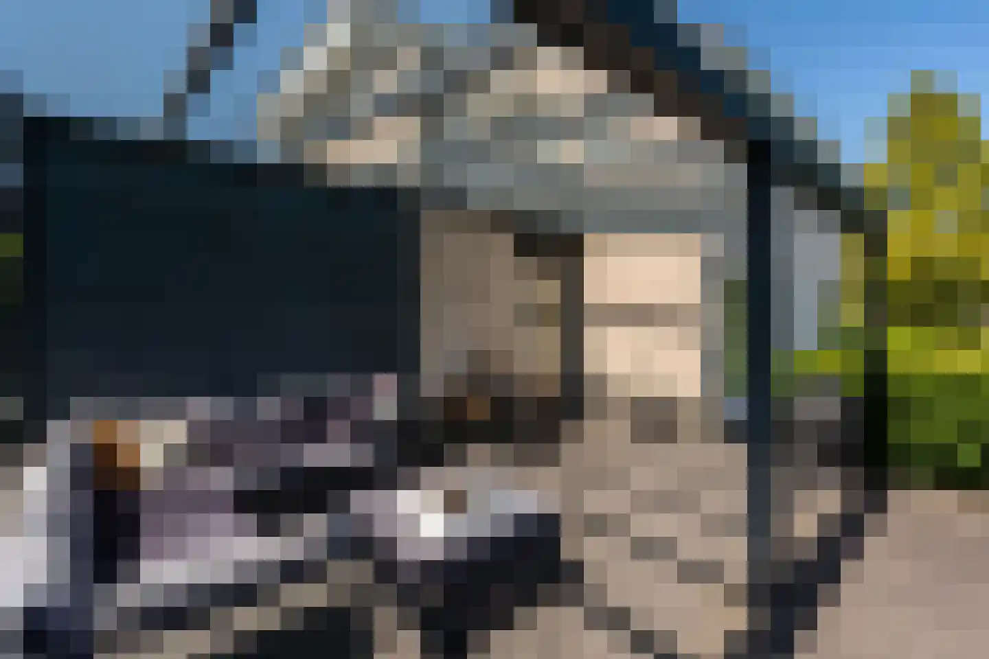Knobbelzwaan 2 Wildervank thumbnail 48