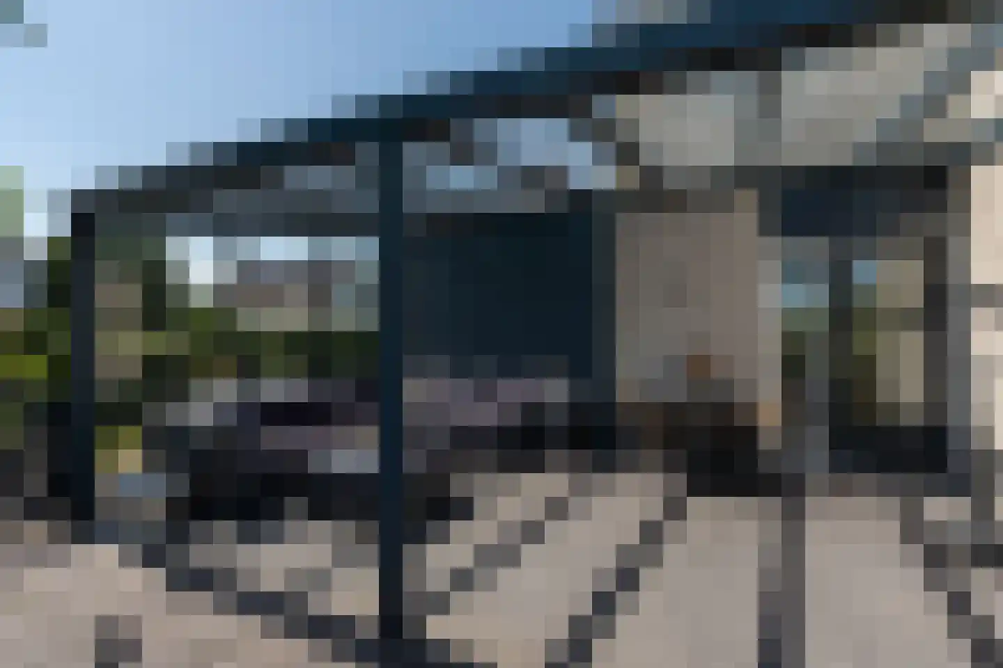 Knobbelzwaan 2 Wildervank thumbnail 49