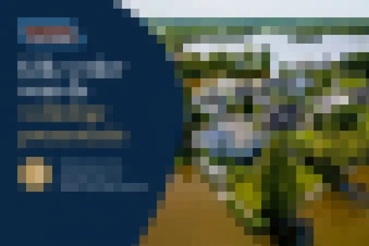 Knobbelzwaan 2 Wildervank thumbnail 5