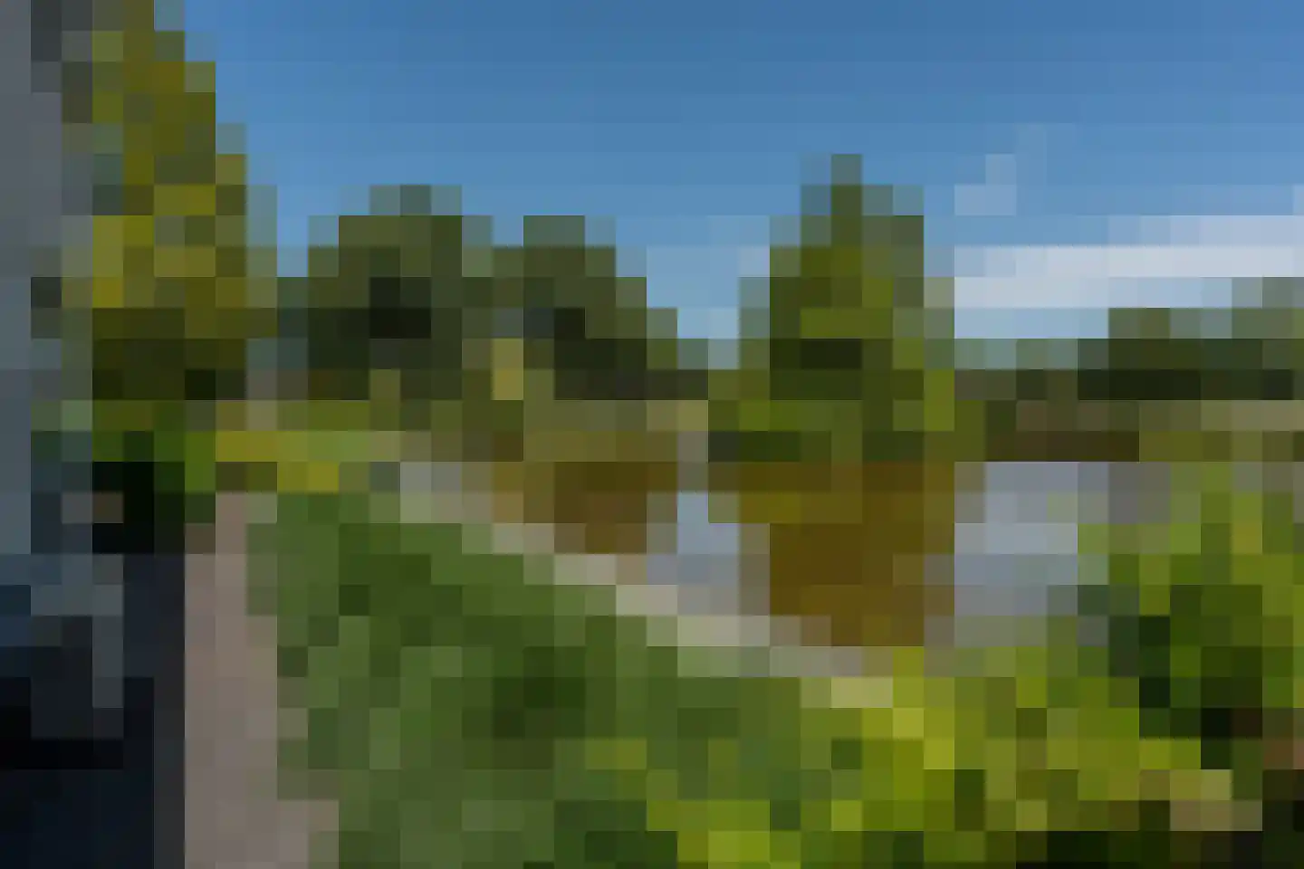 Knobbelzwaan 2 Wildervank thumbnail 51