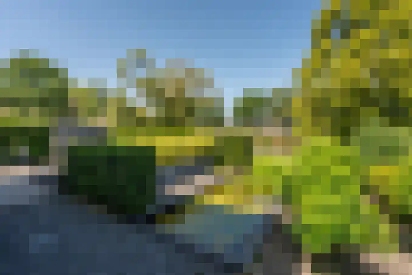 Knobbelzwaan 2 Wildervank thumbnail 52