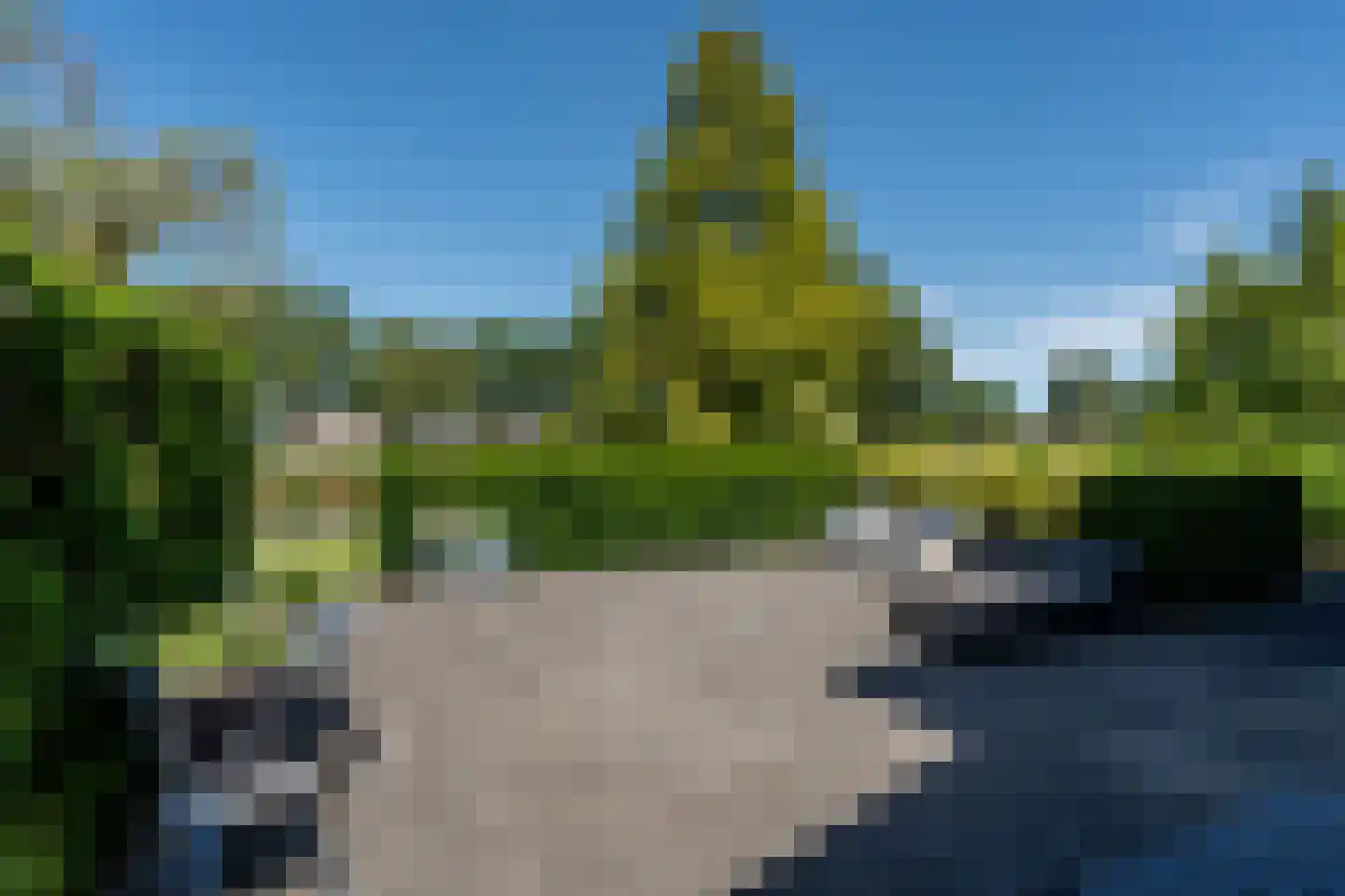 Knobbelzwaan 2 Wildervank thumbnail 54