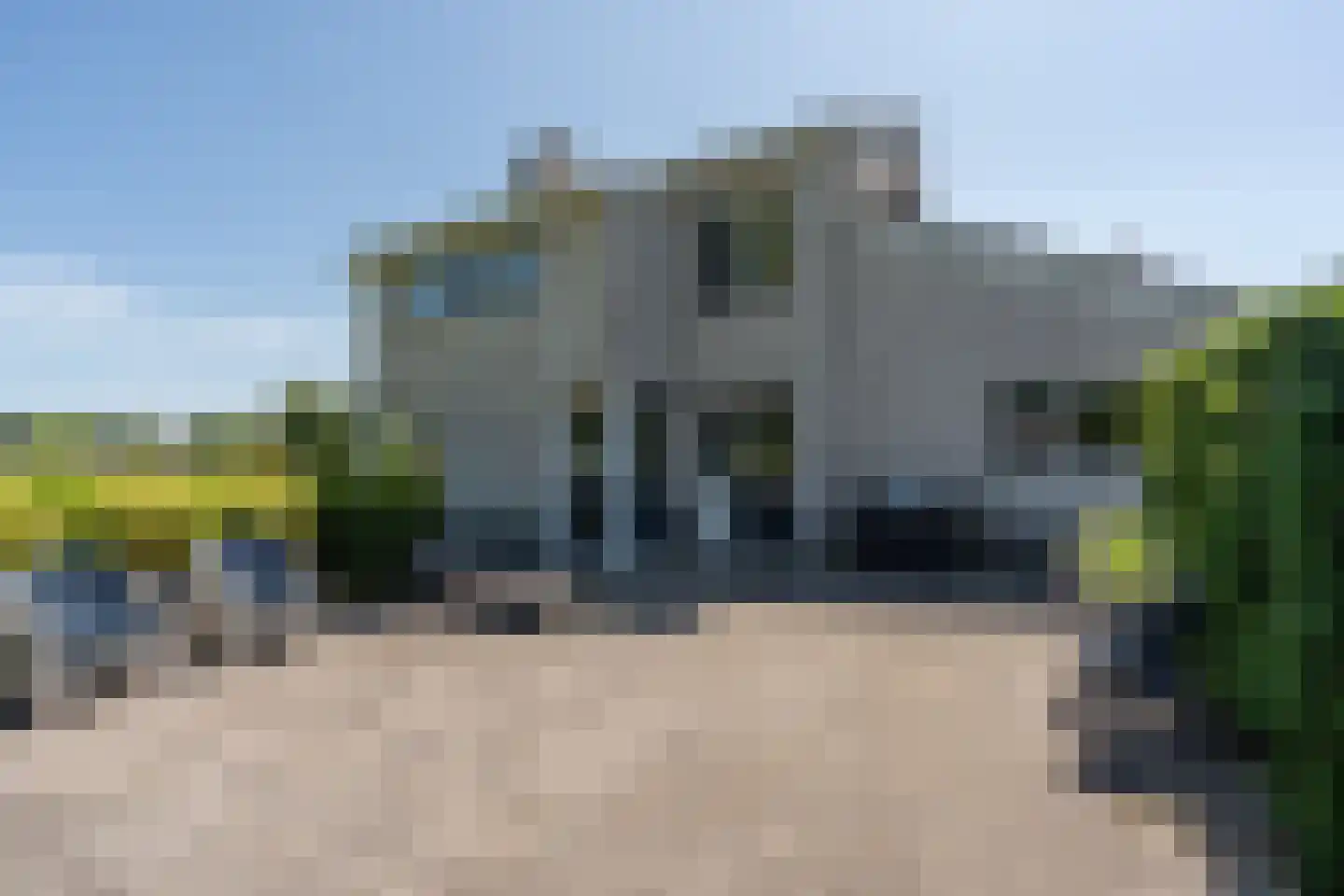 Knobbelzwaan 2 Wildervank thumbnail 55