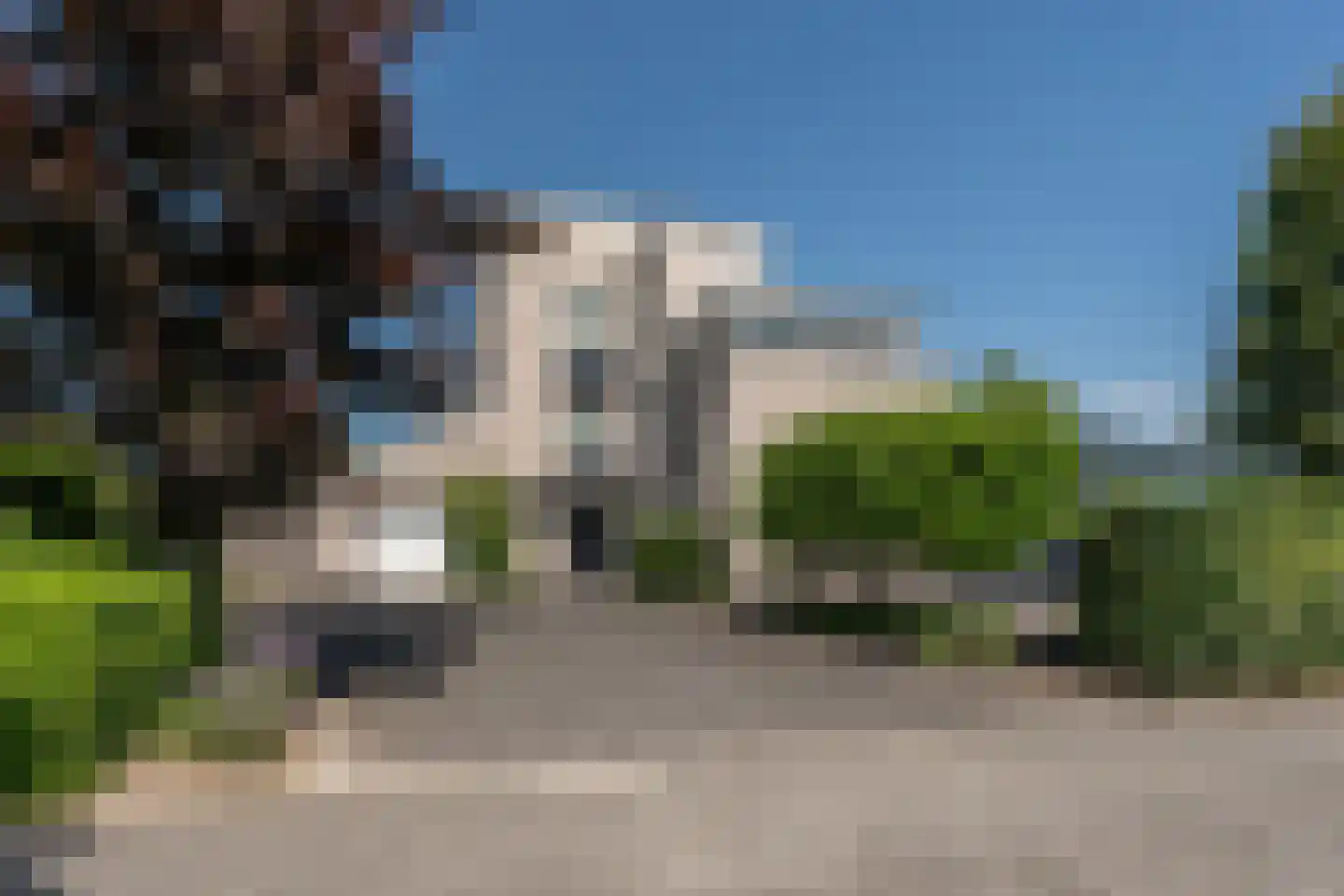 Knobbelzwaan 2 Wildervank thumbnail 60