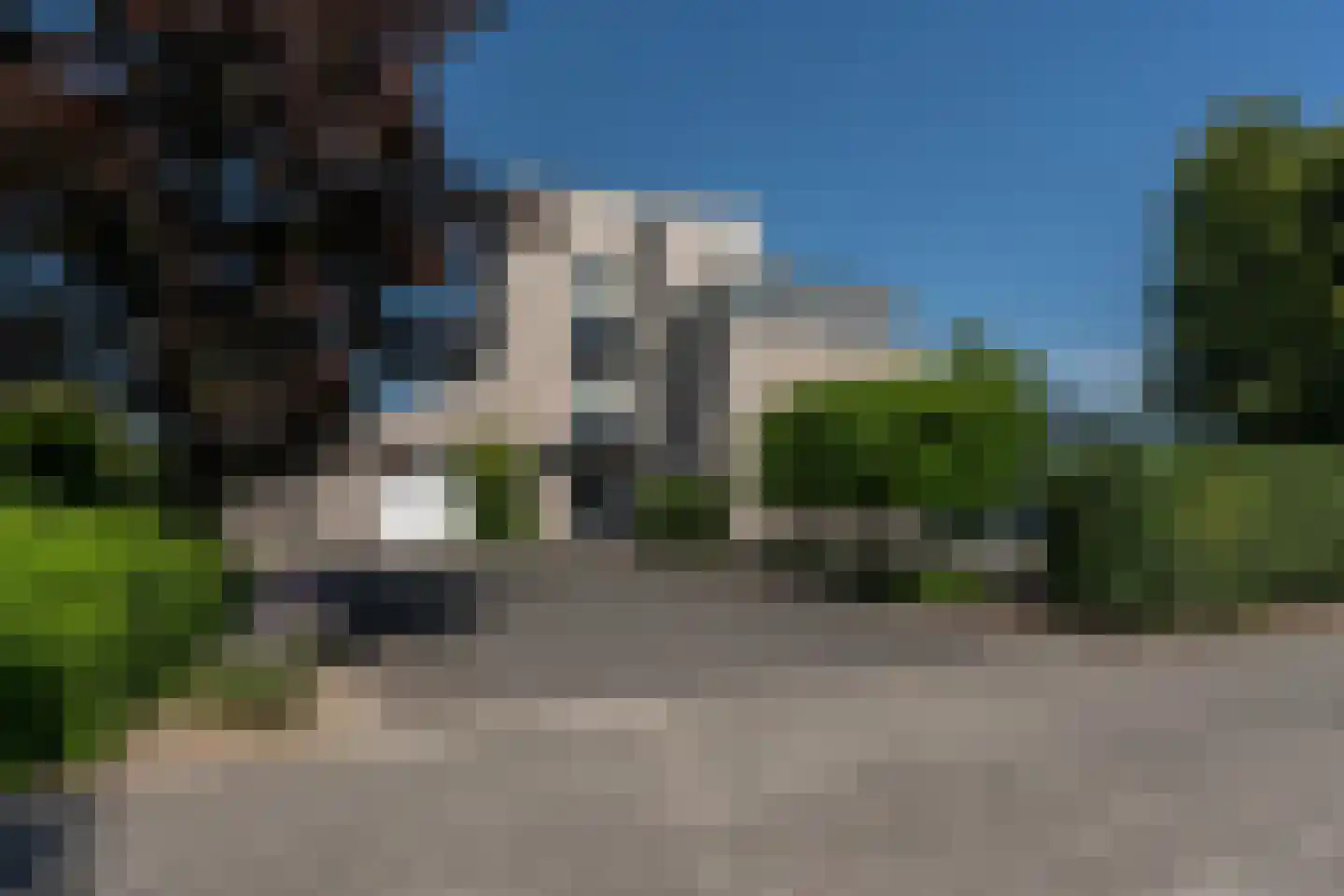 Knobbelzwaan 2 Wildervank thumbnail 61