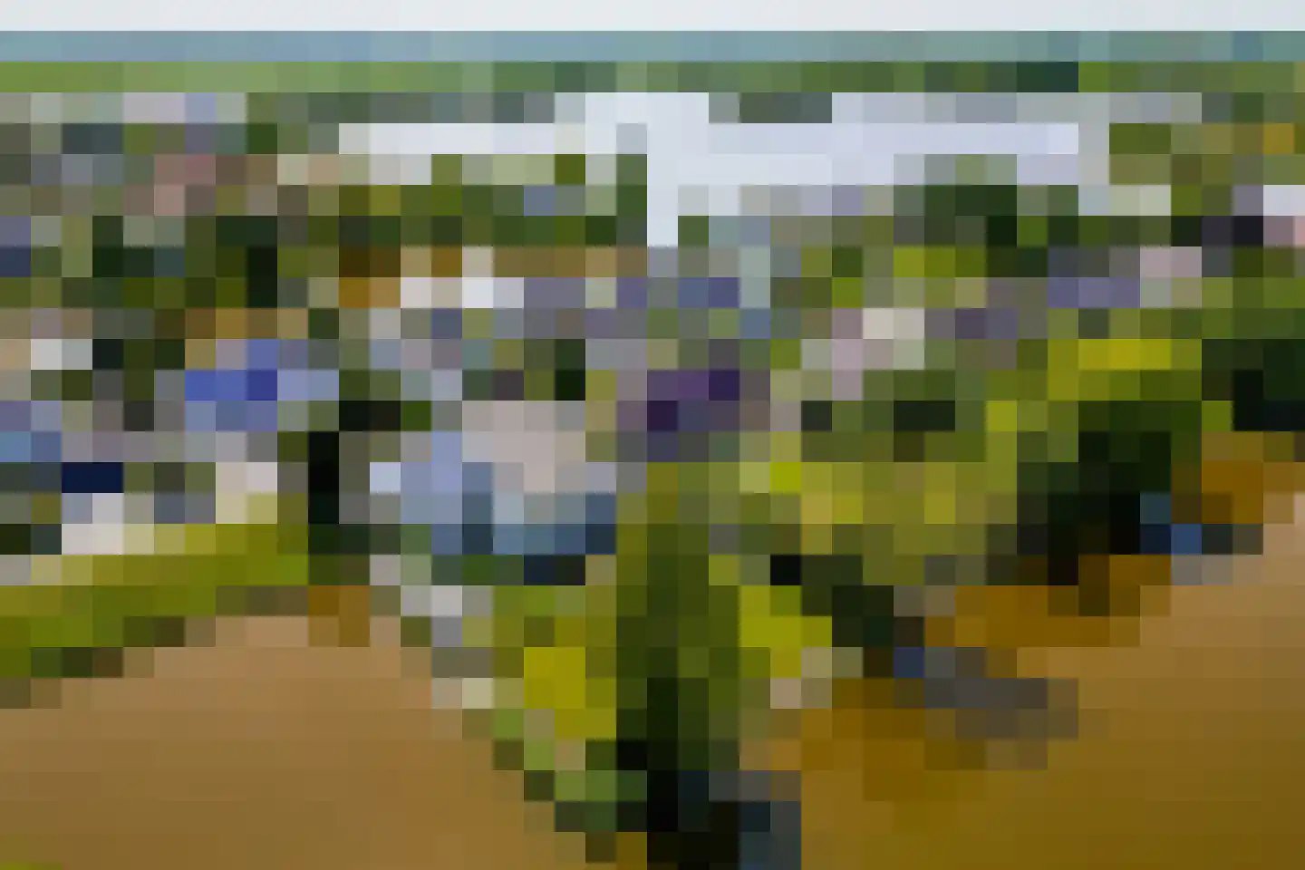 Knobbelzwaan 2 Wildervank thumbnail 63