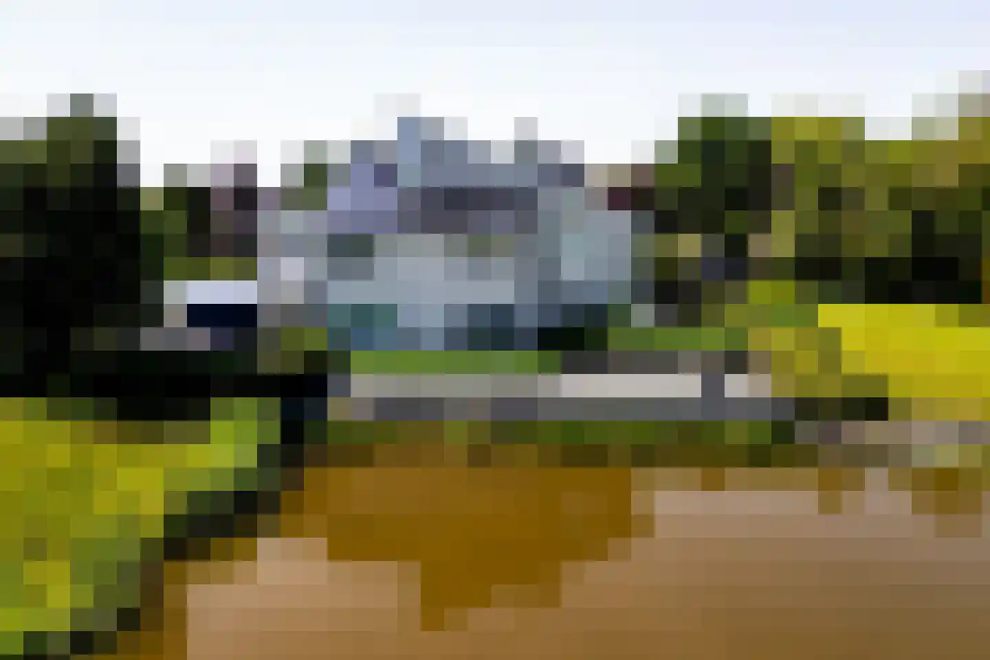 Knobbelzwaan 2 Wildervank thumbnail 65