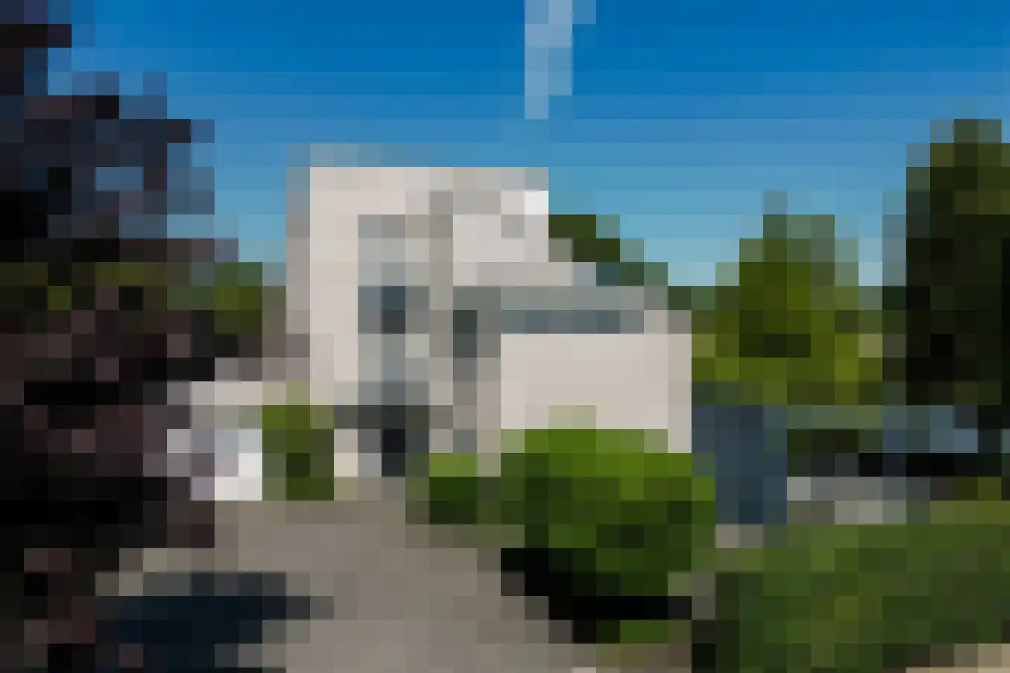 Knobbelzwaan 2 Wildervank thumbnail 68