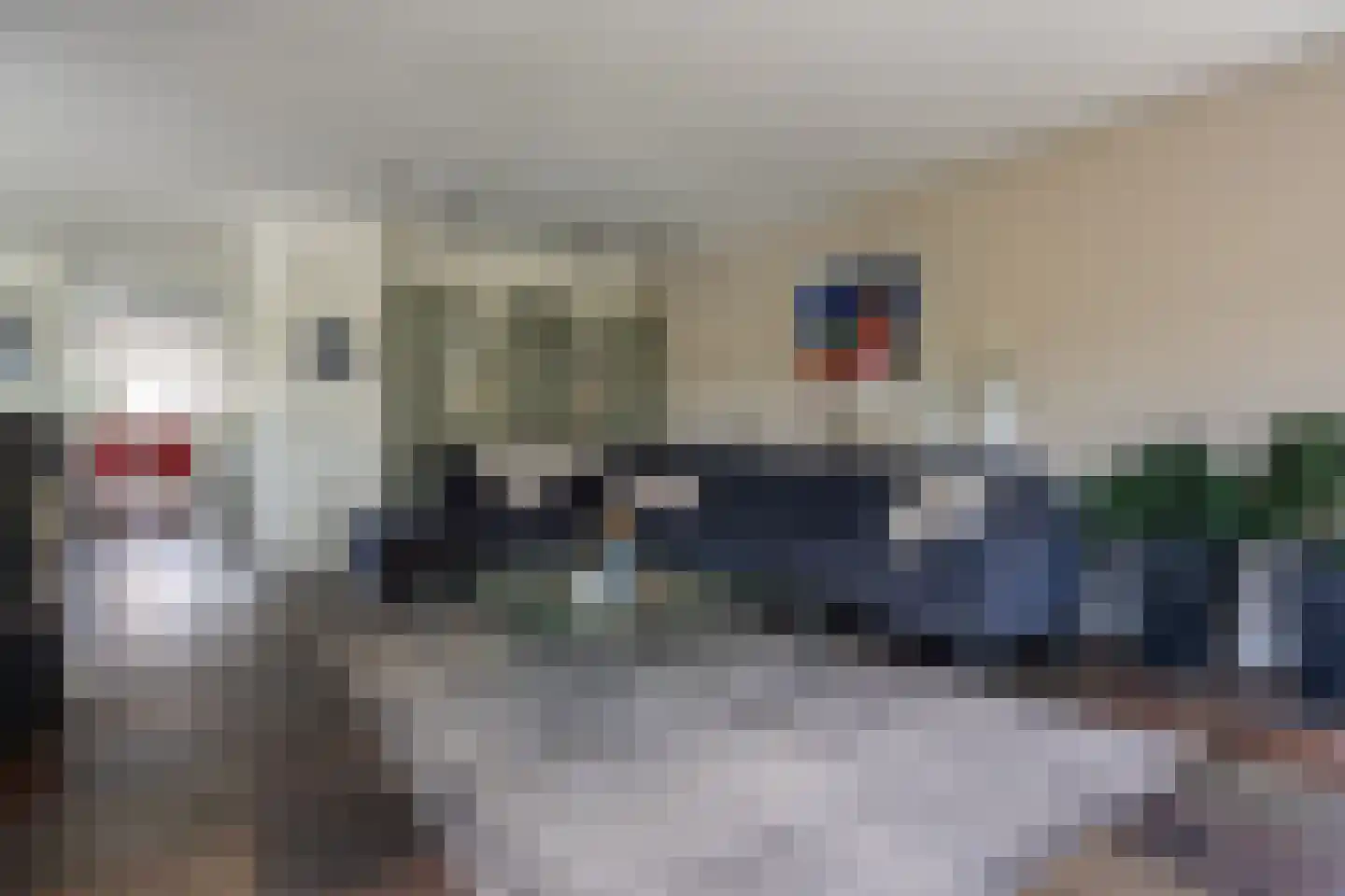 Knobbelzwaan 2 Wildervank thumbnail 7