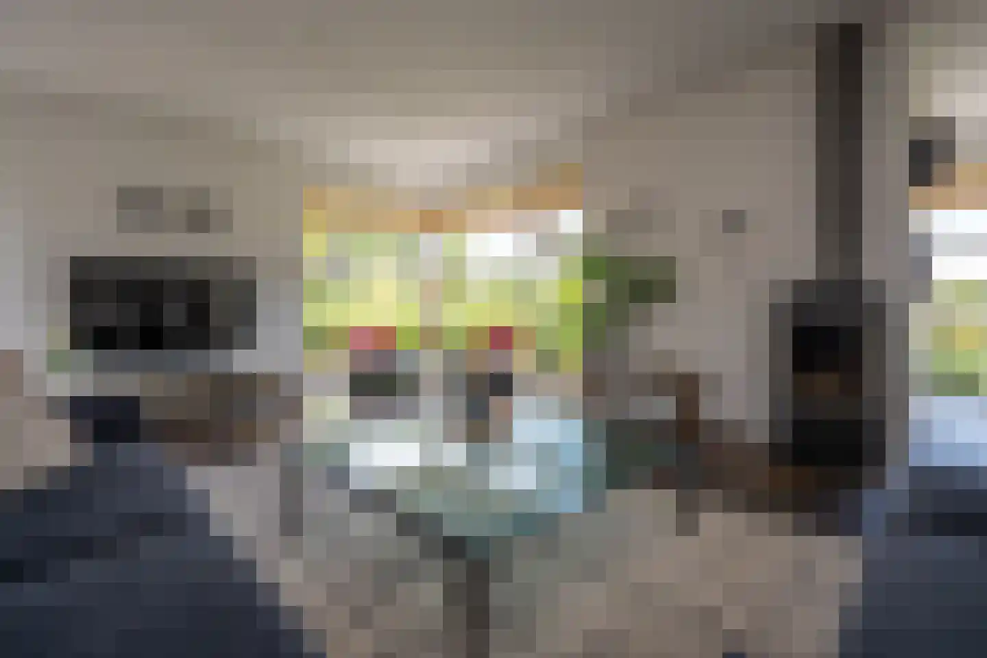 Knobbelzwaan 2 Wildervank thumbnail 9