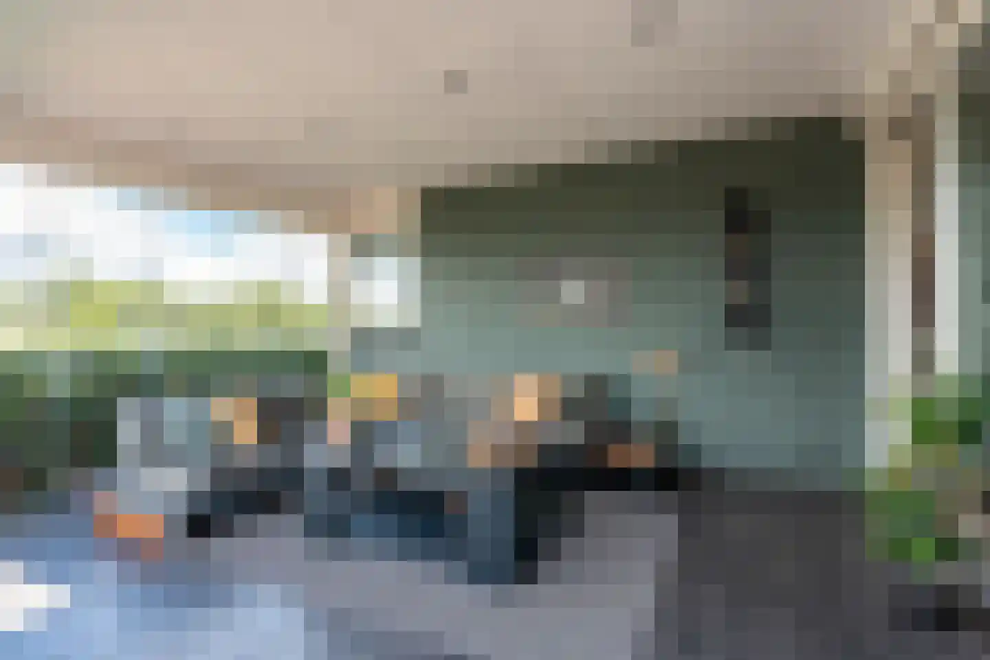 Knobbelzwaan 23 Wildervank thumbnail 10