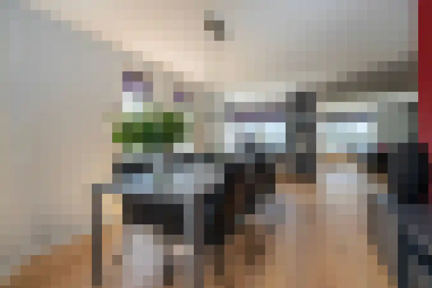 Knobbelzwaan 23 Wildervank thumbnail 12