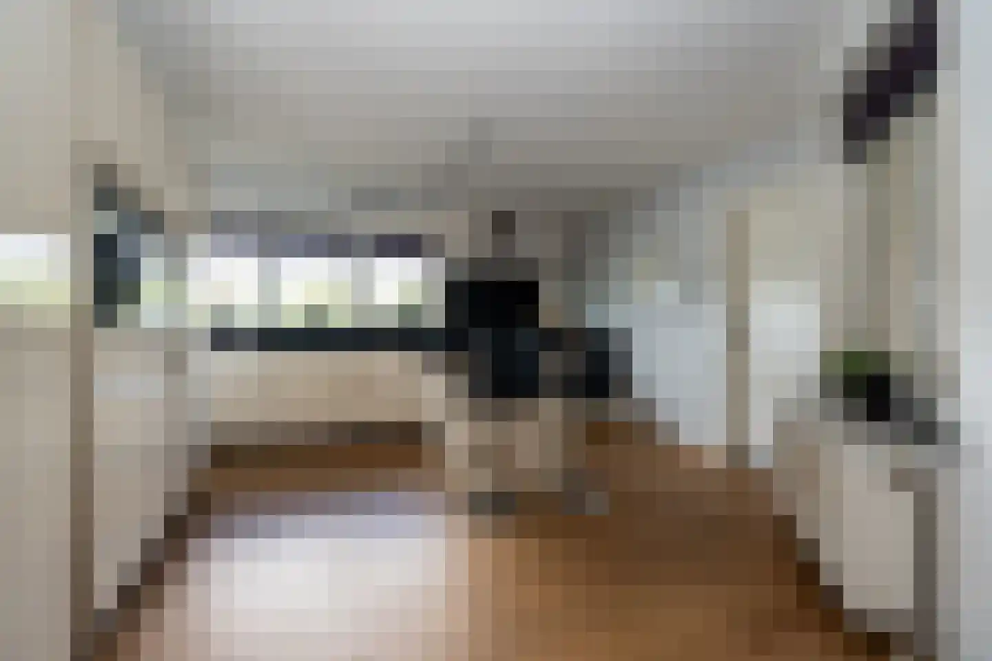 Knobbelzwaan 23 Wildervank thumbnail 15