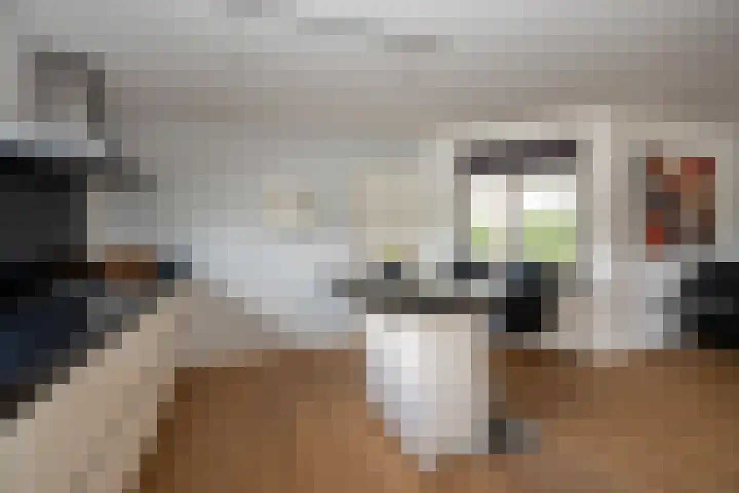 Knobbelzwaan 23 Wildervank thumbnail 19
