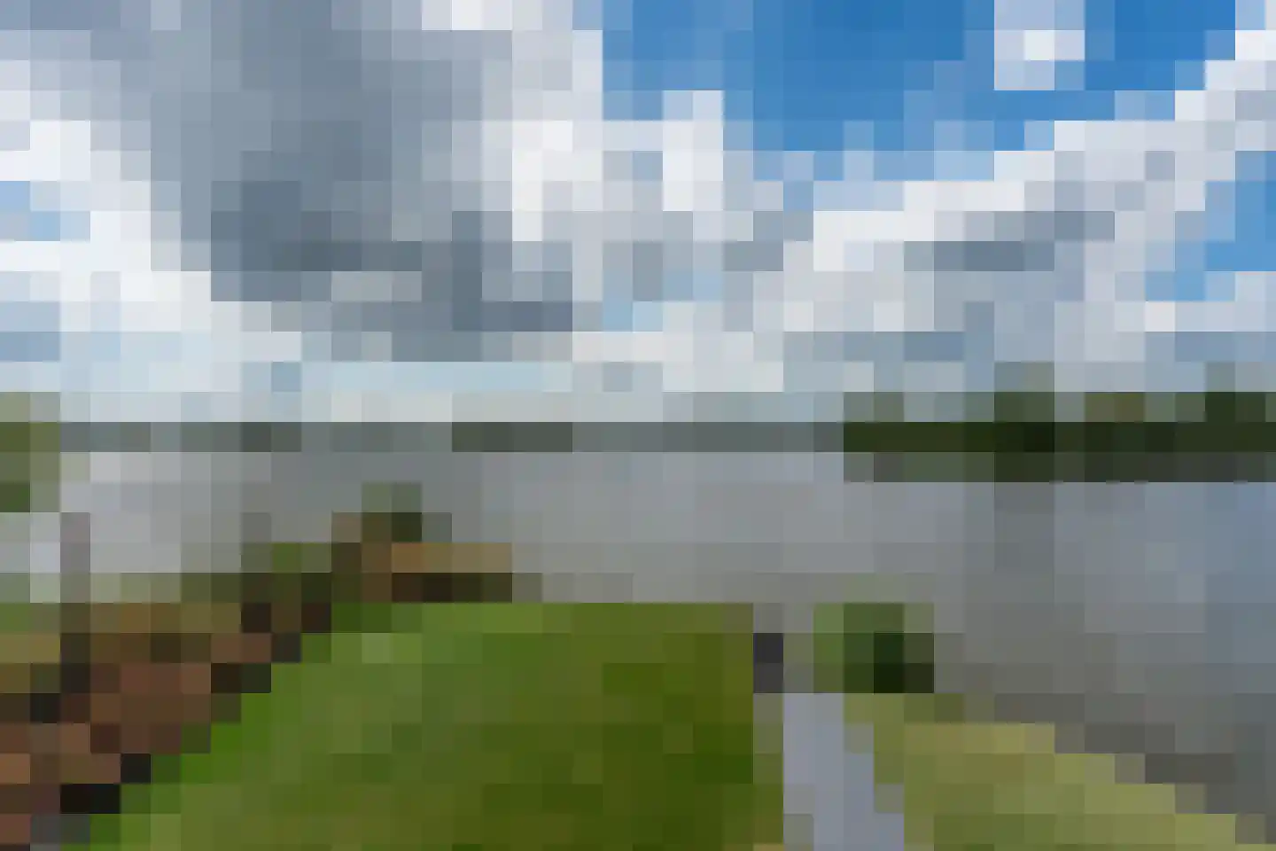 Knobbelzwaan 23 Wildervank thumbnail 35