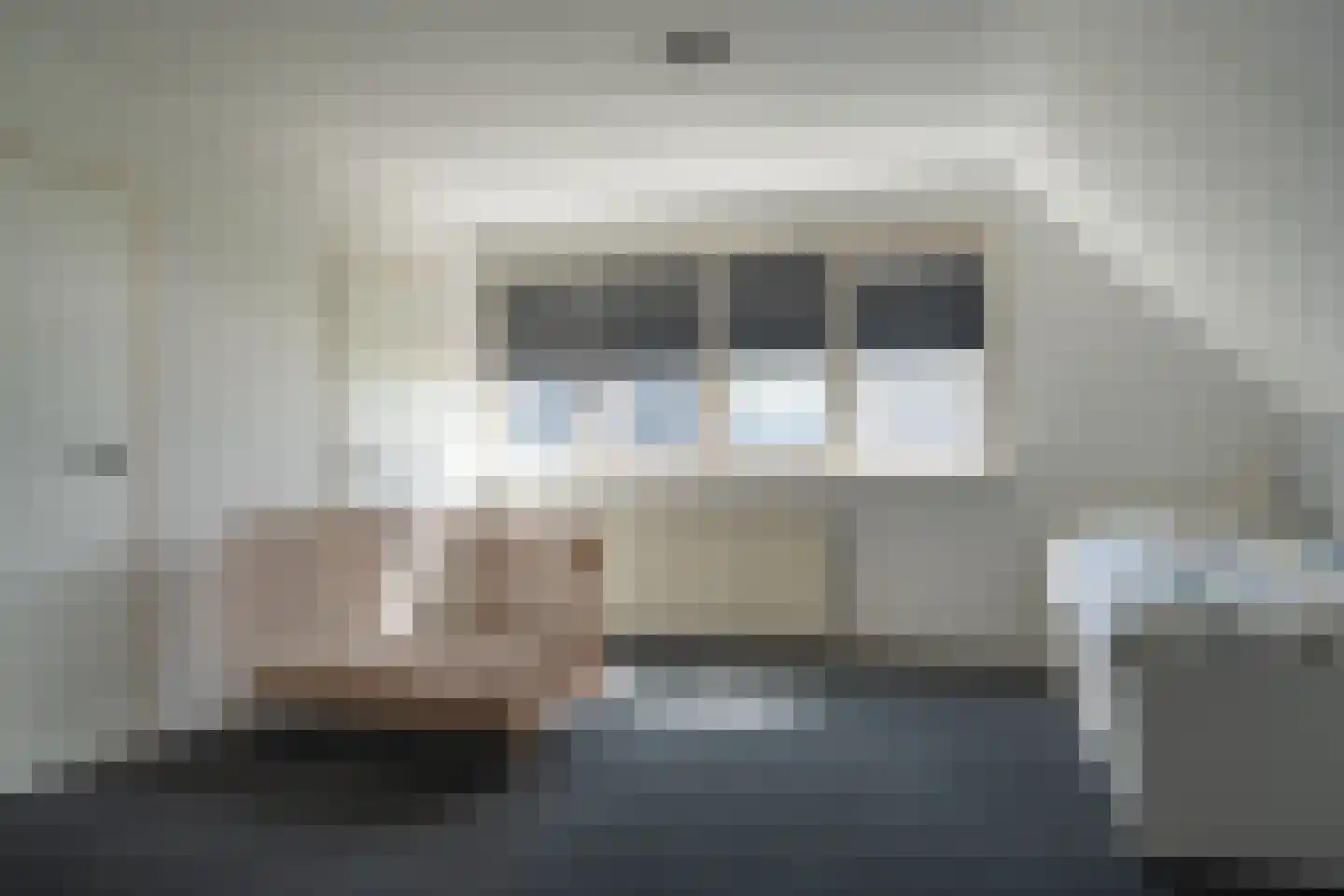Knobbelzwaan 23 Wildervank thumbnail 37