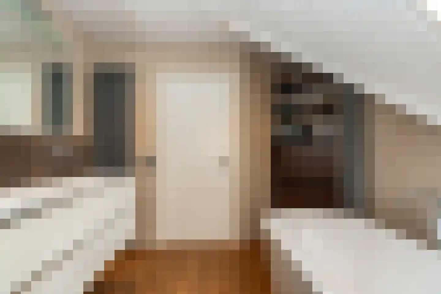 Knobbelzwaan 23 Wildervank thumbnail 39