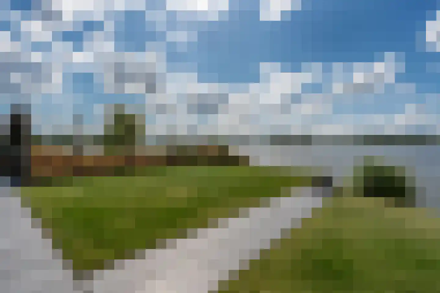 Knobbelzwaan 23 Wildervank thumbnail 42