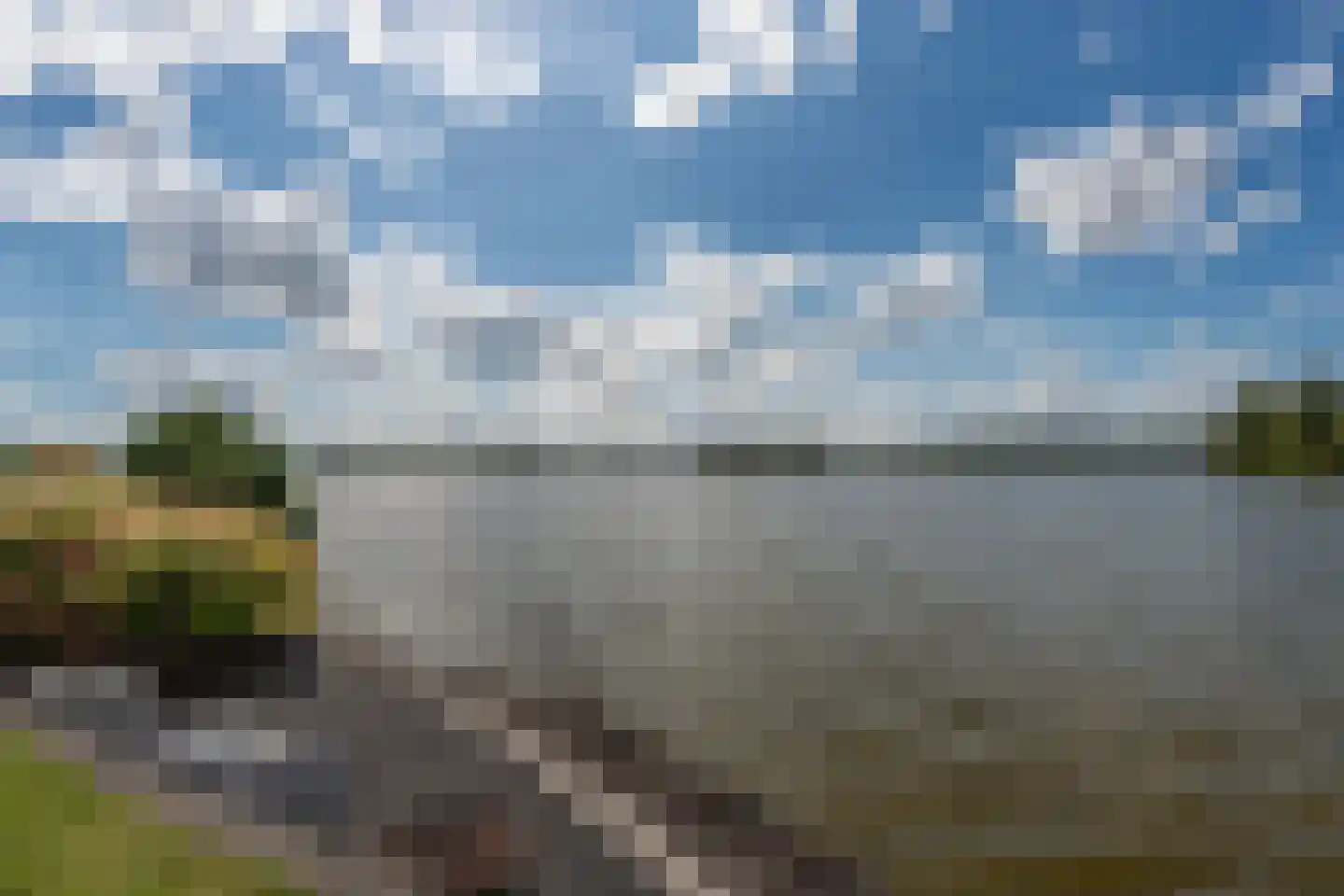 Knobbelzwaan 23 Wildervank thumbnail 44